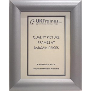 33mm Dome Silver Frames