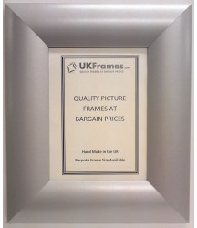 65mm Dome Silver Frames